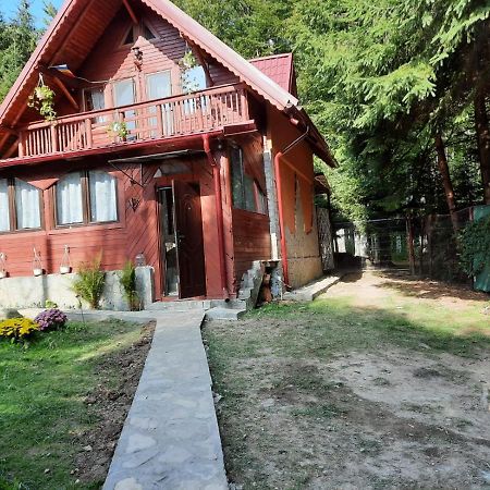 Casuta Paterau Cheia, Prahova Vila Cheia  Exterior foto