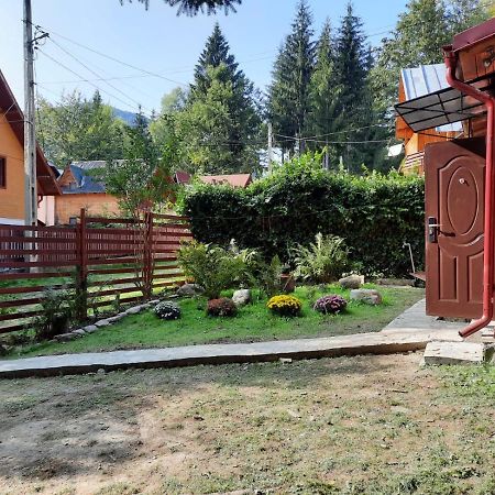 Casuta Paterau Cheia, Prahova Vila Cheia  Exterior foto