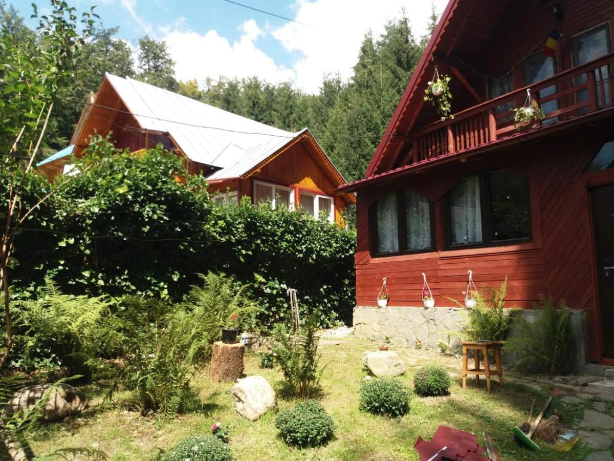 Casuta Paterau Cheia, Prahova Vila Cheia  Exterior foto