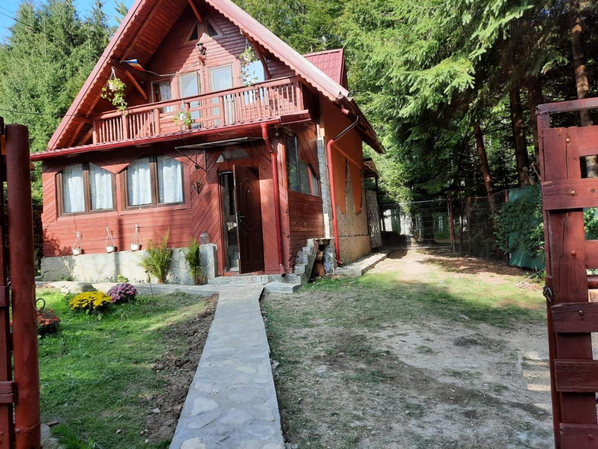Casuta Paterau Cheia, Prahova Vila Cheia  Exterior foto