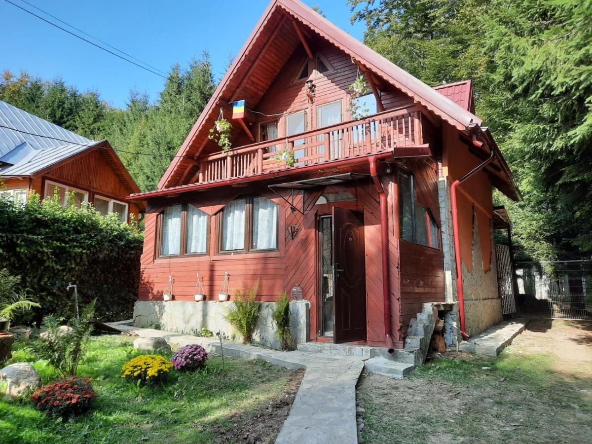 Casuta Paterau Cheia, Prahova Vila Cheia  Exterior foto