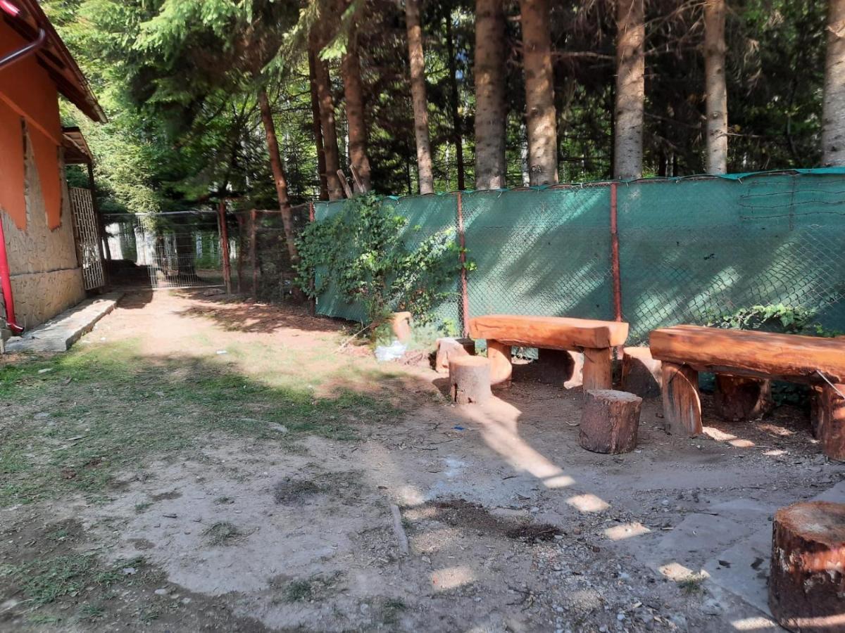 Casuta Paterau Cheia, Prahova Vila Cheia  Exterior foto
